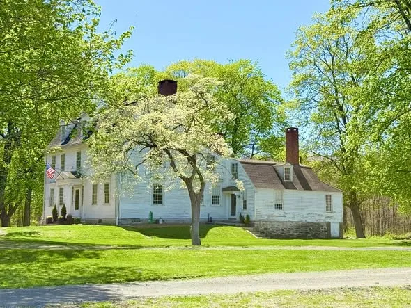 The house in spring, with a flowering tree on the lawn and a flag on the porch