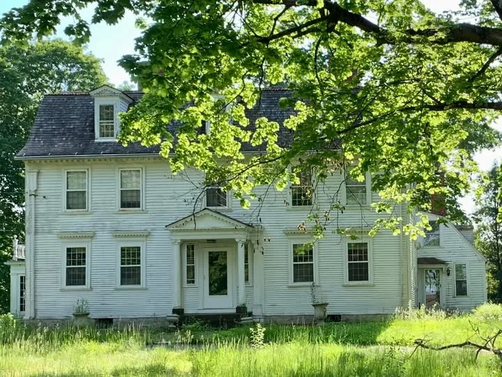 The front of the house in summer, full leaf cover overhead and the lawn grown tall